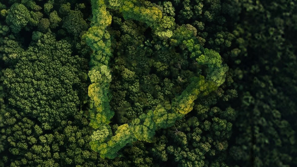 Yeşil Vatan Kısa Film Yarışması'nda son başvuru tarihi 30 Kasım