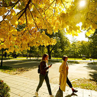 Meteoroloji'den iyi haber! Bahar gibi cumartesi!