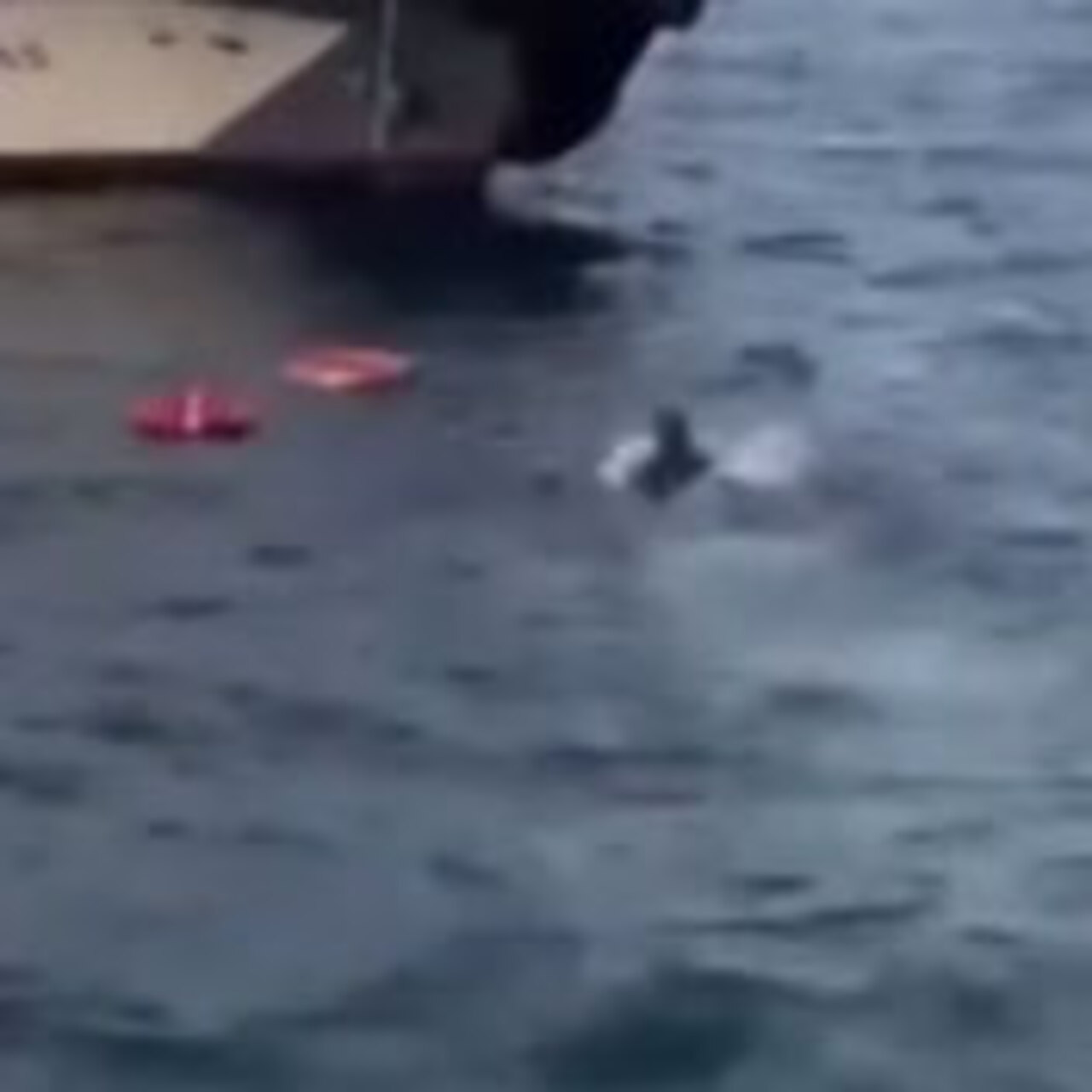 Üsküdar'da bir kadın feribottan düştü! | Son Dakika