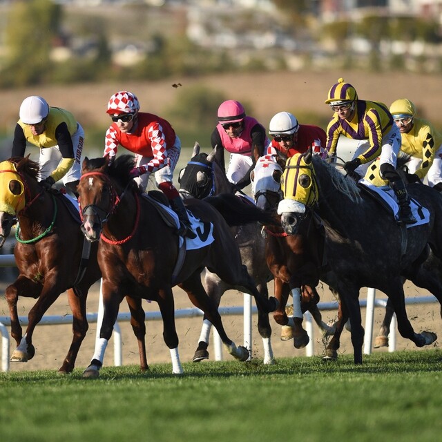 Cumhuriyet ve Cumhurbaşkanlığı koşuları yapıldı!