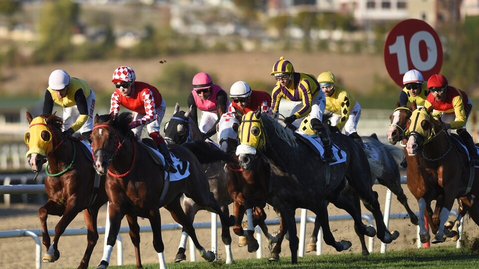 Cumhuriyet ve Cumhurbaşkanlığı koşuları yapıldı!