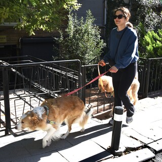 "Tiyatro müthiş işmiş"