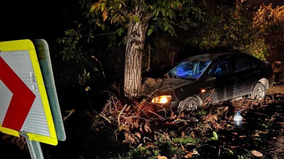 Otomobil ağaca çarptı: 3 yaralı