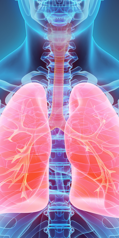 Vakalar artıyor! Akciğer kanserinden nasıl korunulur?