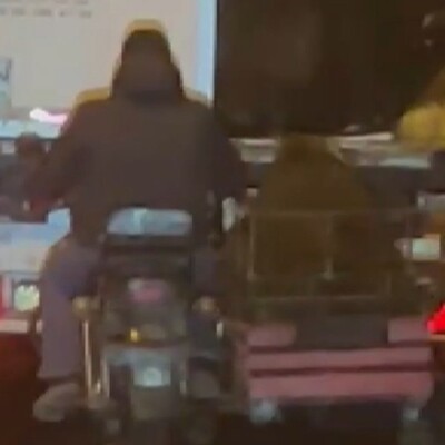 Seyir halindeki TIR'dan koyun çaldılar