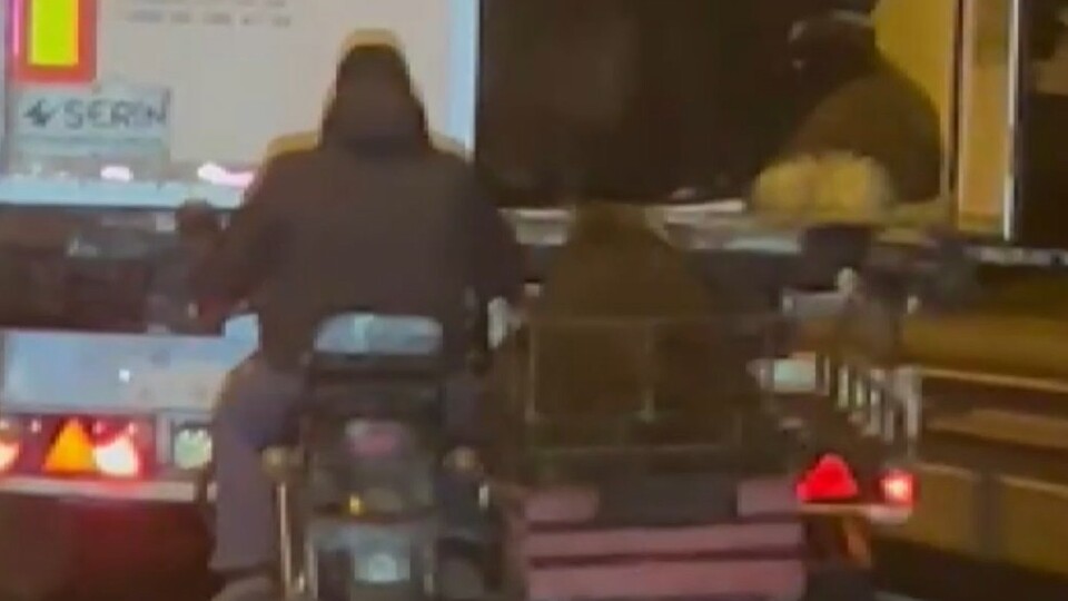 Seyir halindeki TIR'dan koyun çaldılar