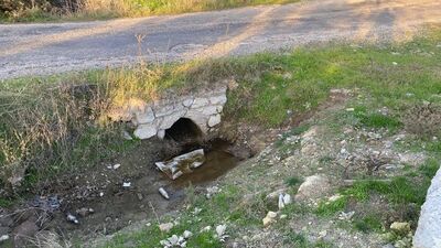 Göbek bağı daha kurumamış! Kız bebeğine ait... Bu nasıl vicdan?