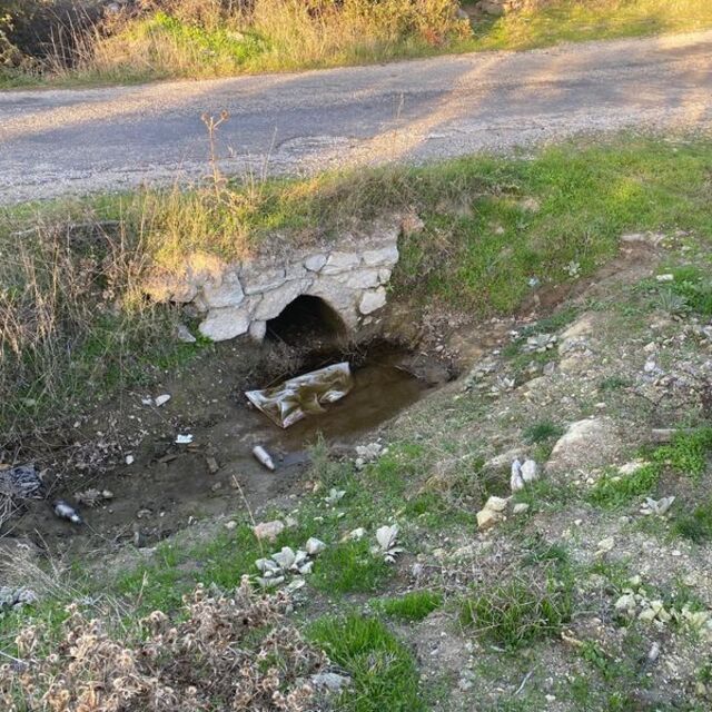 Göbek bağı daha kurumamış! Kız bebeğine ait... Bu nasıl vicdan?