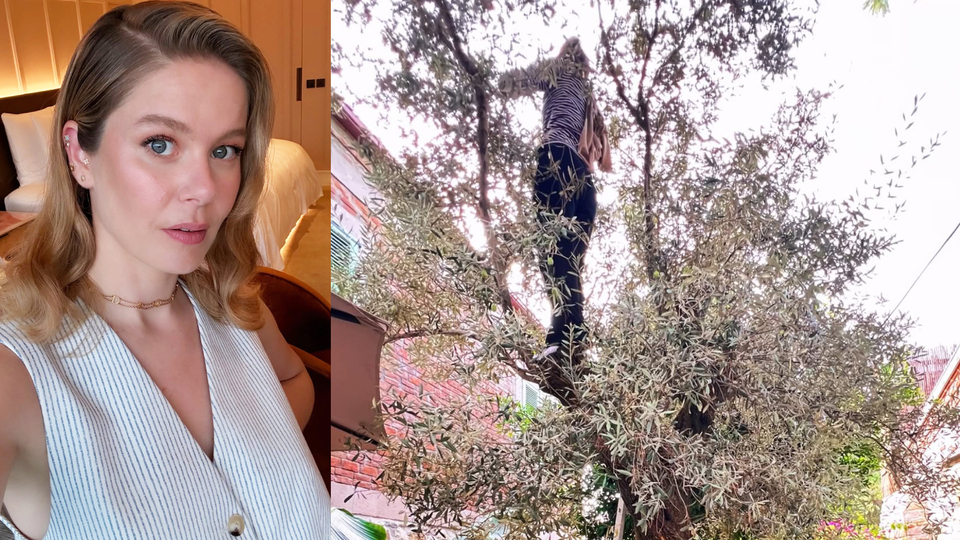 Ünlü oyuncudan zeytin hasadı