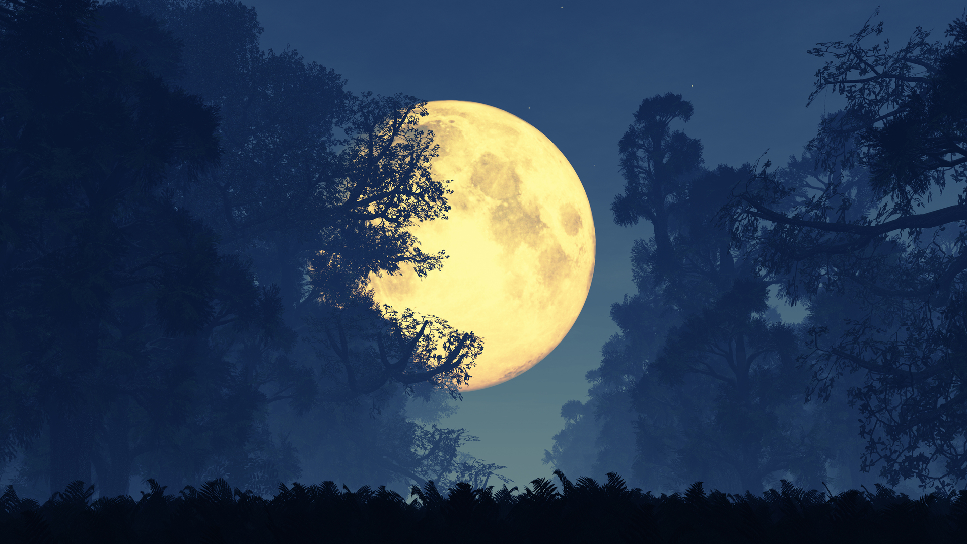 Yılın en parlak ve en büyük Dolunay'ı 5 Kasım gecesi gökyüzünde