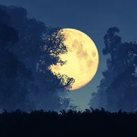 Yılın en parlak ve en büyük Dolunay'ı