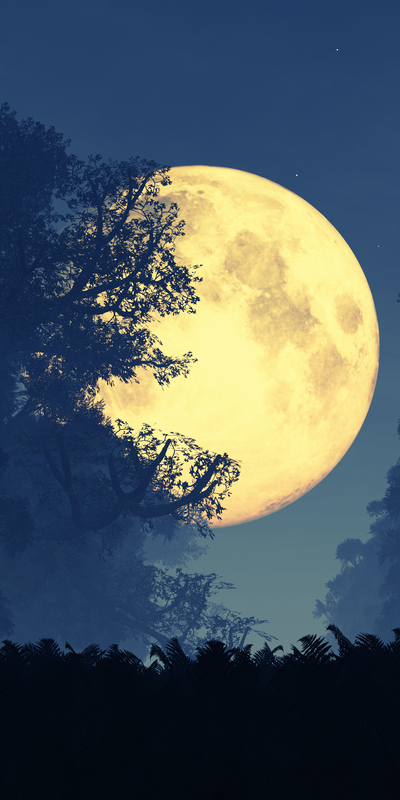 Yılın en parlak ve en büyük Dolunay'ı