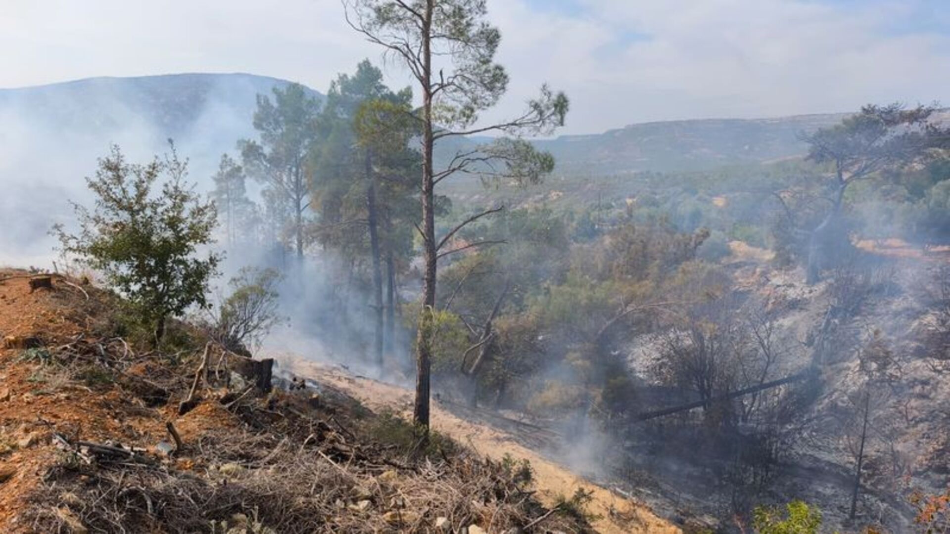 Mersin haberleri: Yaşlı adamın bahçesinde trajik ölümü | SON DAKİKA HABER | Son dakika haberleri