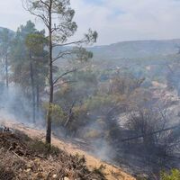 Yaşlı adamın bahçesinde trajik ölümü!