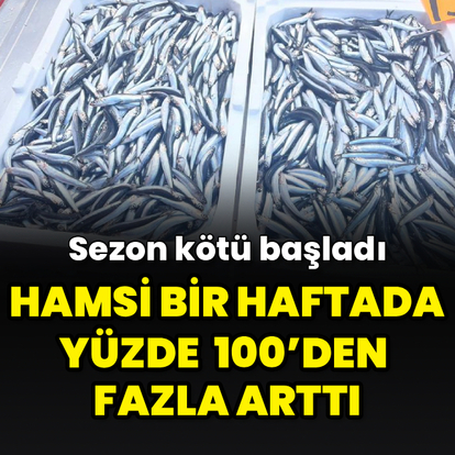 Hamsi bir haftada yüzde 100’den fazla arttı