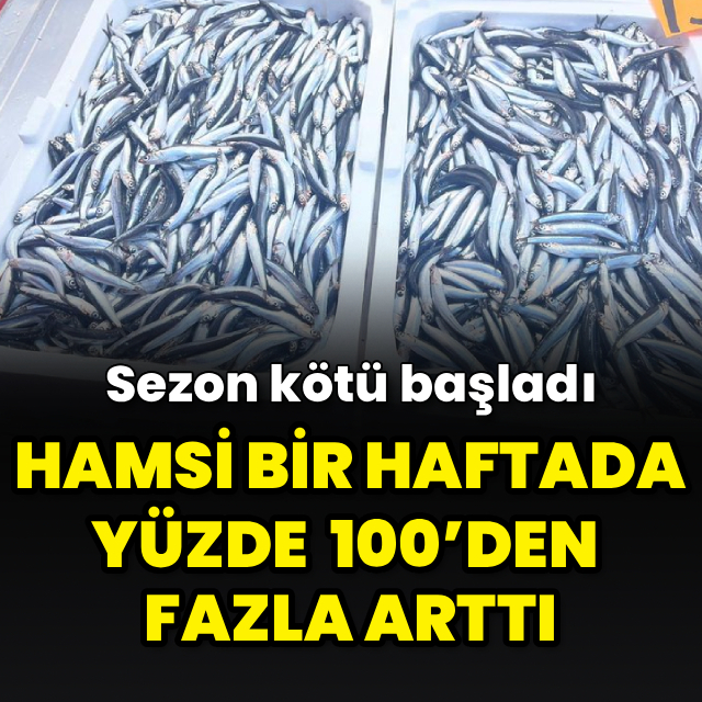 Hamsi bir haftada yüzde 100’den fazla arttı