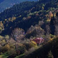 Hem sütlacı hem de oyuk ağaçlarıyla ünlü köy!