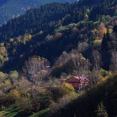 Hem sütlacı hem de oyuk ağaçlarıyla ünlü köy!