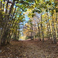 Dünyada tek! İzinsiz girmenin cezası 557 bin TL