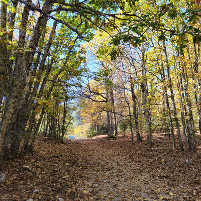 Dünyada tek! İzinsiz girmenin cezası 557 bin TL