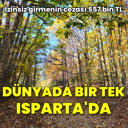 Dünyada tek! İzinsiz girmenin cezası 557 bin TL