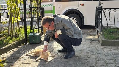 Dolmuş durağının maskotu: Yolcu