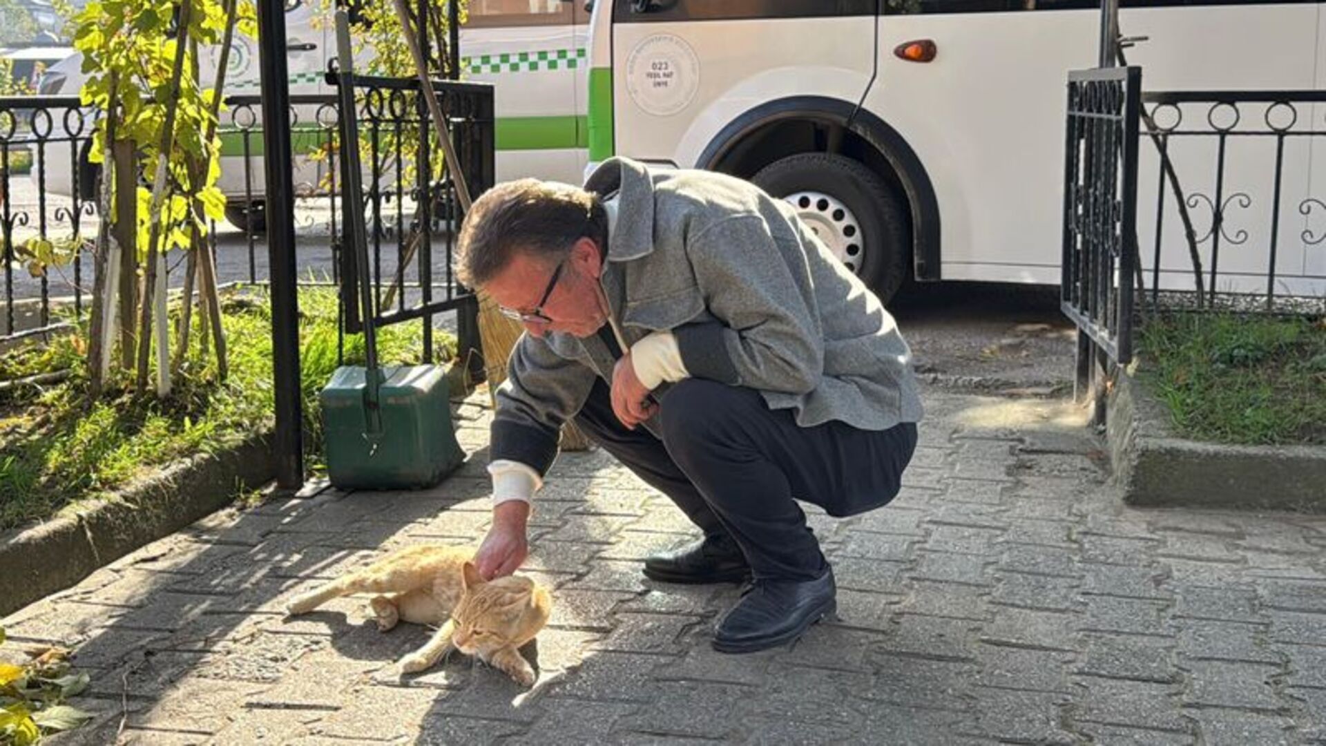 Yolcu Kedinin Kalbi: Tedavi Edildiği Minibüs Durağı Onu Bağrına Bastı!