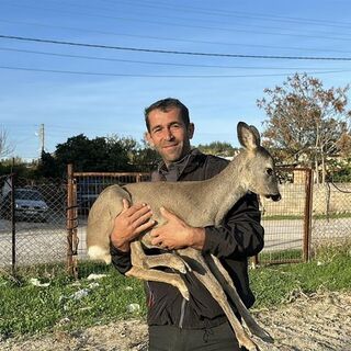 5 aydır elleriyle besliyor