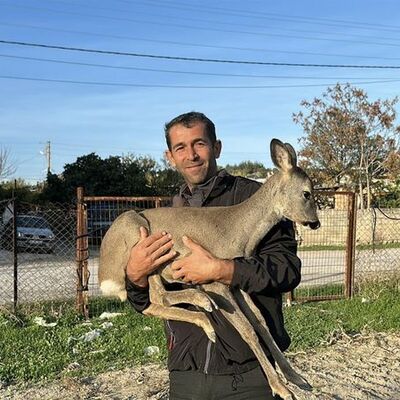 5 aydır elleriyle besliyor