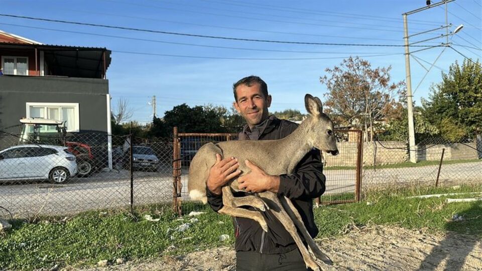 5 aydır elleriyle besliyor