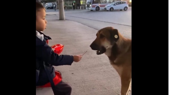 Küçük yürek, büyük merhamet