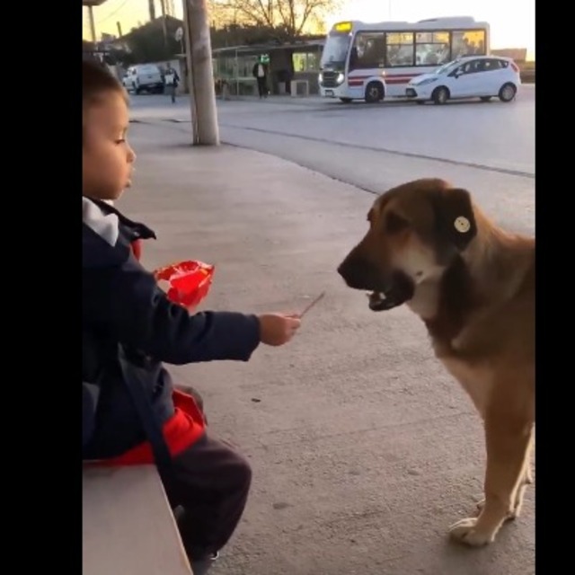 Küçük yürek, büyük merhamet