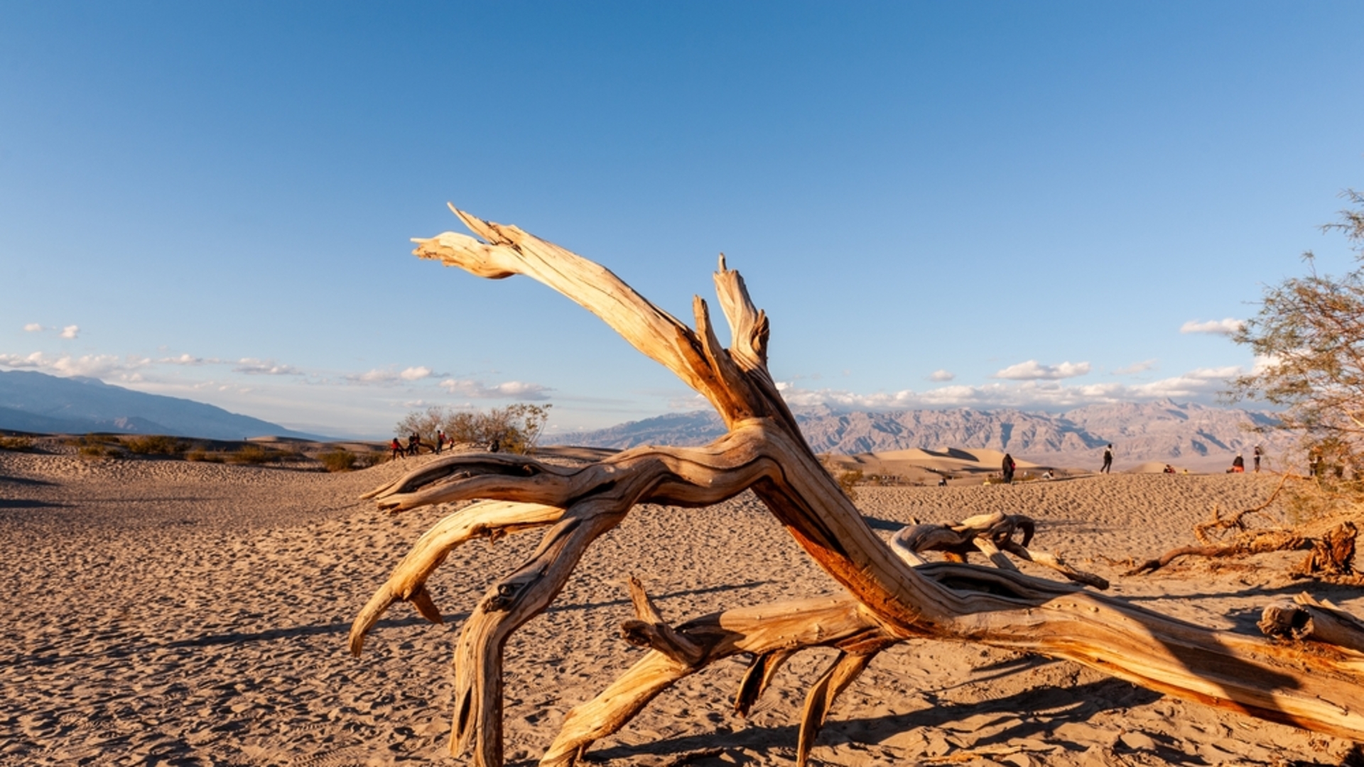 Korku ve merak arasında bir yolculuk: Dünyanın en tehlikeli 10 yeri!