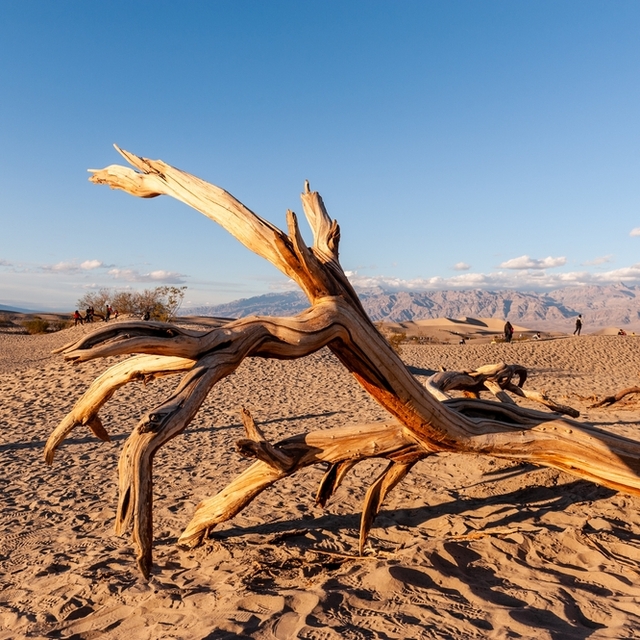 Dünyanın en tehlikeli 10 yeri!