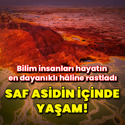 Ölümcül güzelliğin bilimsel mucizesi