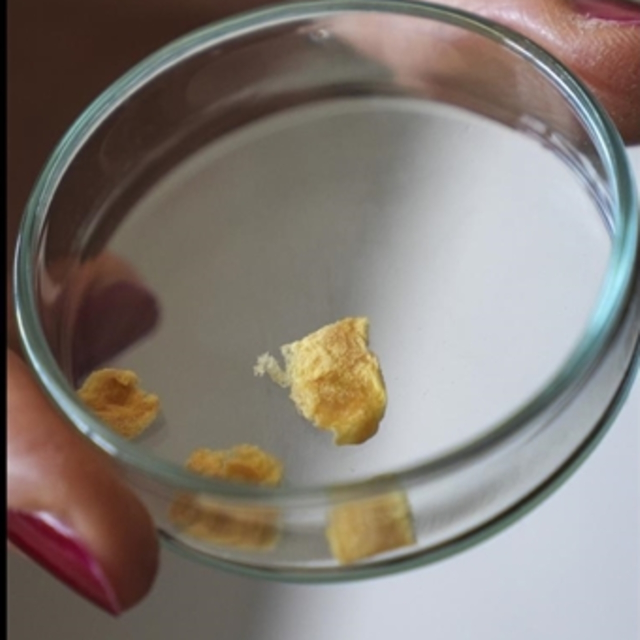 Balık kılçığından kolajen yaptılar