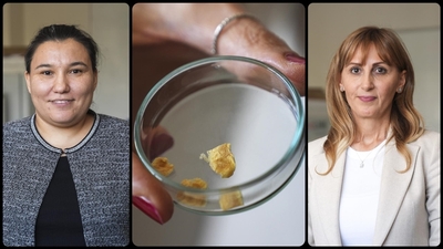 Balık kılçığından kolajen yaptılar