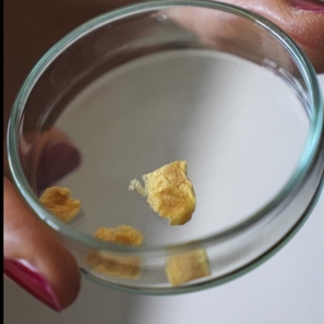 Balık kılçığından kolajen yaptılar