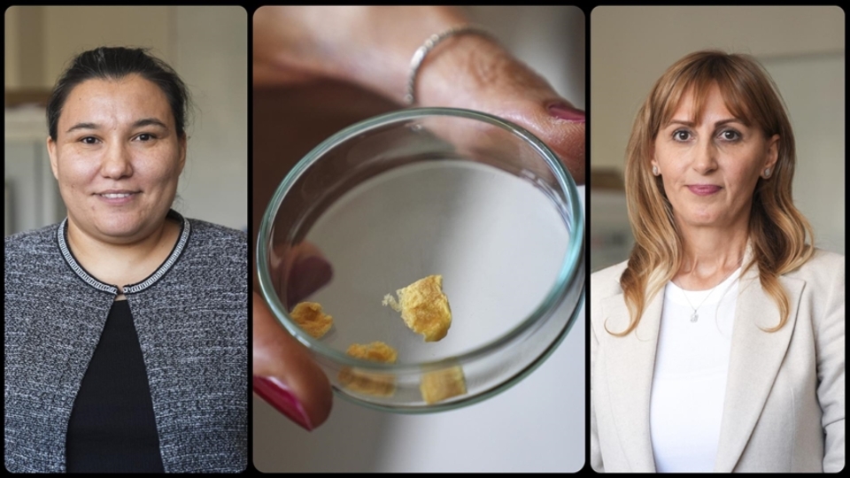 Balık kılçığından kolajen yaptılar