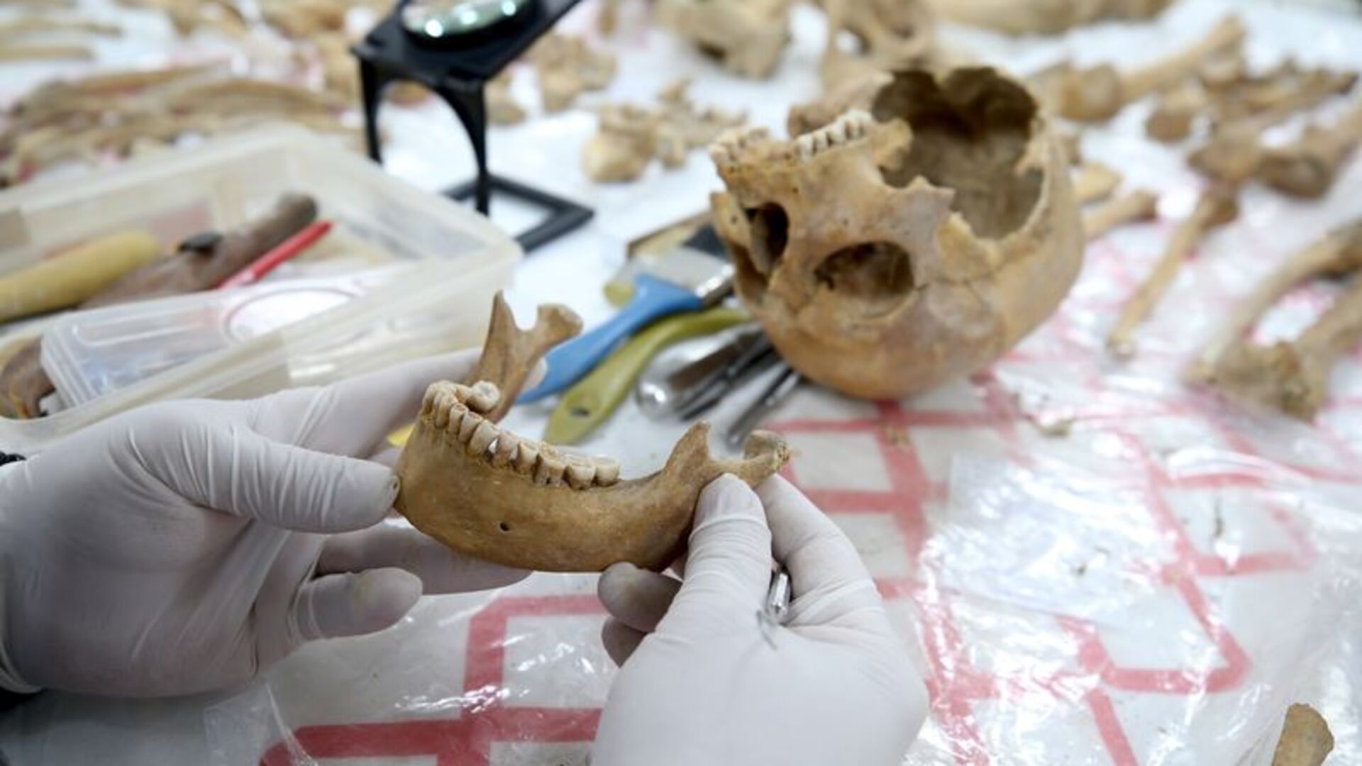 Malazgirt'te çıkarılan insan iskeletlerinin sırrı araştırılıyor