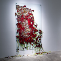 Annebella Pollen ile British Council Koleksiyonu’nun İzinde