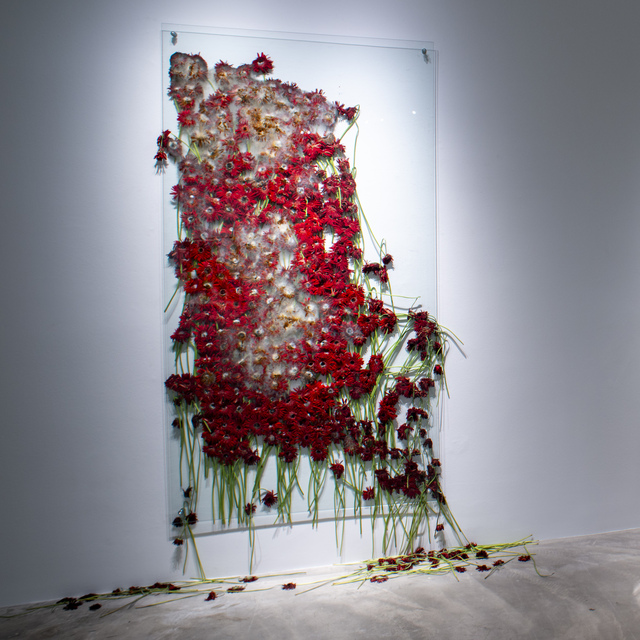 Annebella Pollen ile British Council Koleksiyonu’nun İzinde