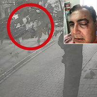 Sokaktaki kedileri besleyen iş insanına feci darp!