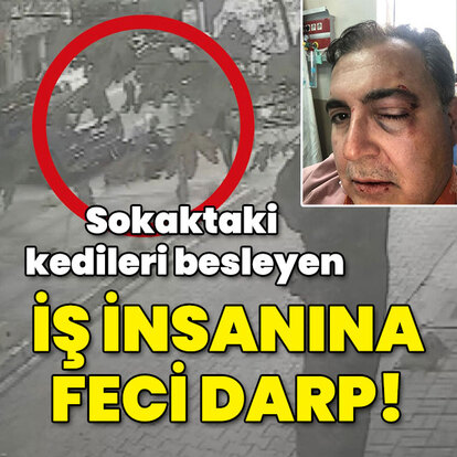 Sokaktaki kedileri besleyen iş insanına feci darp!