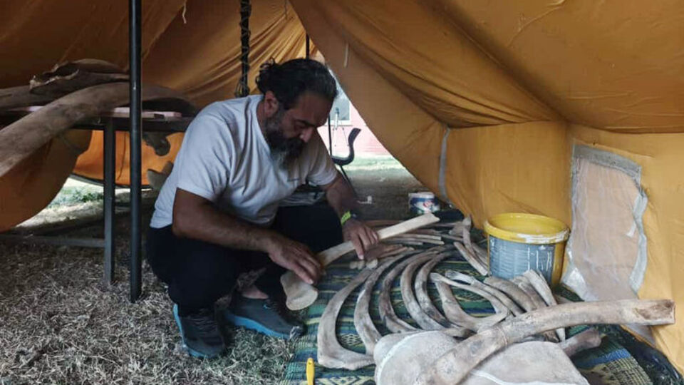 Topraktan çıkarıldı! Yapboz gibi birleştiriliyor