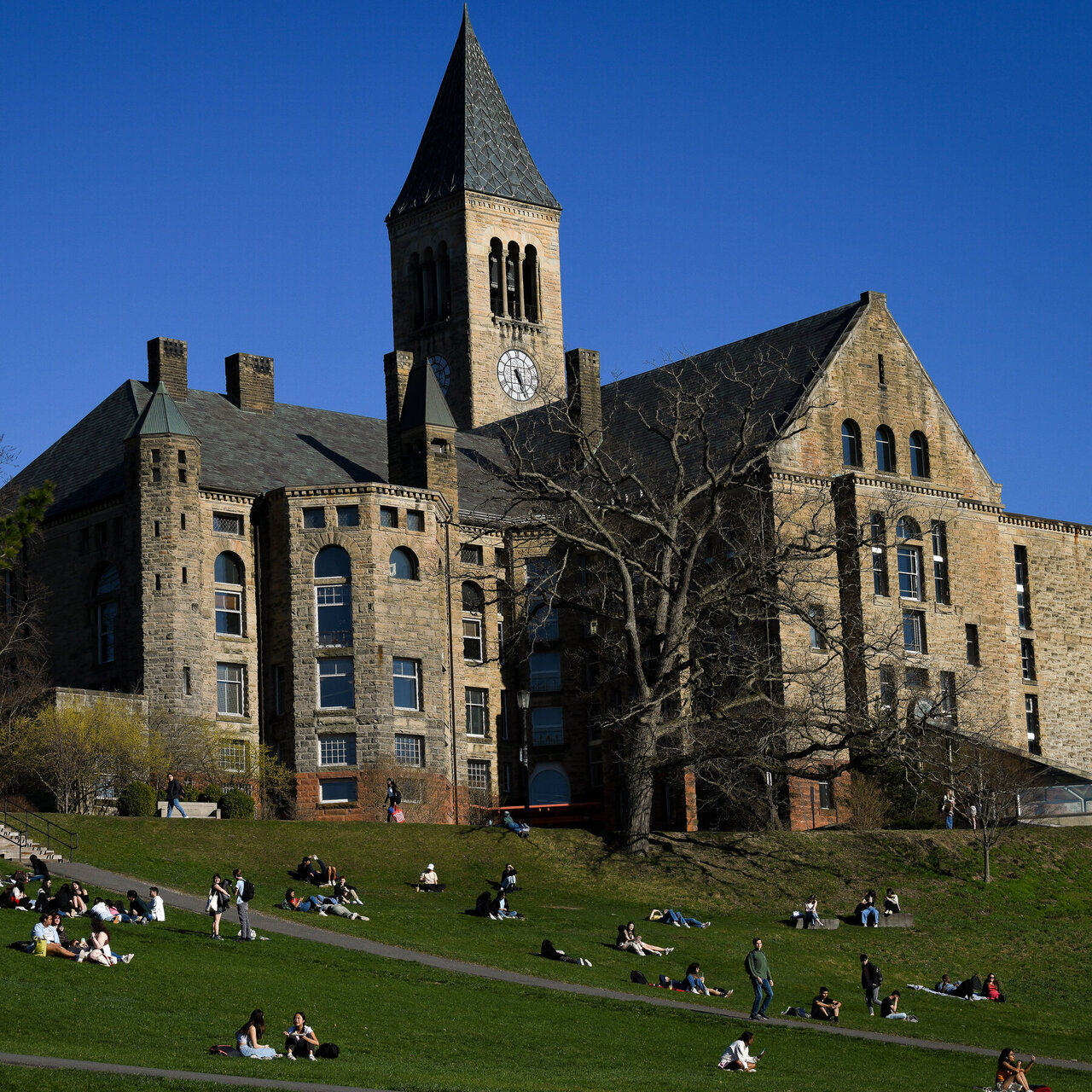 Trump yönetimi, Cornell Üniversitesi'yle anlaştı