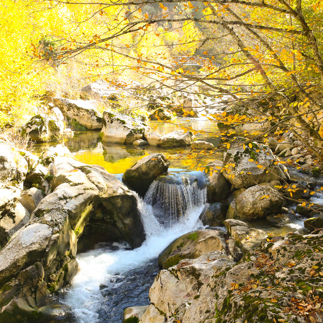 İçinden sonbaharın geçtiği kanyon