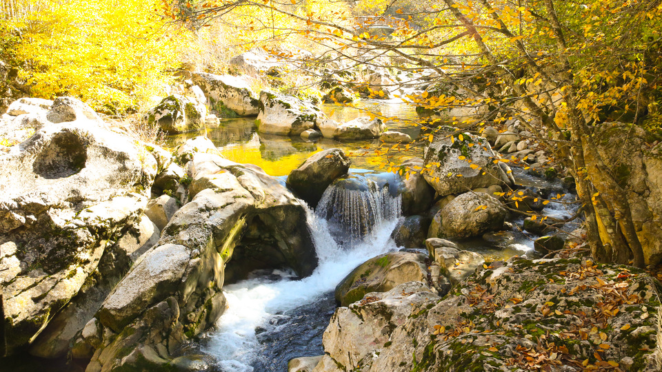 İçinden sonbaharın geçtiği kanyon