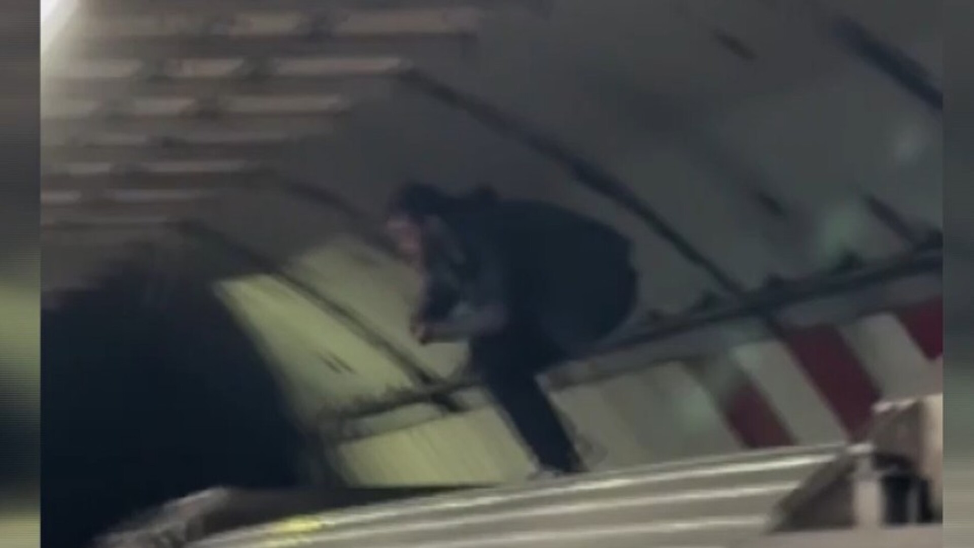 İstanbul'da Metro Üzerinde Şok Eden Olay! Yolcular Donakaldı