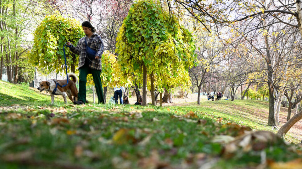 Yurt genelinde hava açık 2 bölgede sağanak!